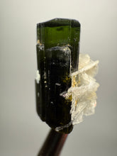 Load image into Gallery viewer, Dark Green Stak Nala Tourmaline and Cleavelandite – Haramosh Mountains, Pakistan | Thumbnail Specimen