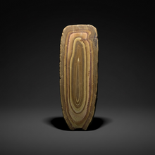 Load image into Gallery viewer, Stromatolite Fossil Slice | Ancient Microbial Reef Structure | Morocco