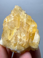 Load image into Gallery viewer, Golden Glow Calcite Cluster | Maharashtra, India