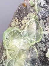 Load image into Gallery viewer, High-Grade Green Wavellite Collectors Specimen - Radiating Botryoidal Crystal Formation - Arkansas, USA