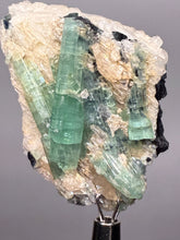Load image into Gallery viewer, Blue Indicolite & Mint Green Tourmaline on Matrix – Pegmatite Mineral Specimen from Pakistan
