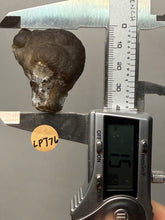 Load image into Gallery viewer, Natural Bonsai Suiseki Chalcedony Gobi Agate Collector Mineral Specimen | Morocco