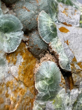 Load image into Gallery viewer, High-Grade Green Wavellite Collectors Specimen - Radiating Botryoidal Crystal Formation - Arkansas, USA