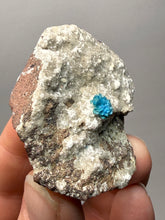 Load image into Gallery viewer, Rare Electric Blue Cavansite on Druzy Matrix – Collector Mineral Specimen | India
