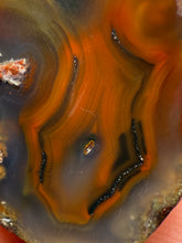 Load image into Gallery viewer, Polished Malawi Agate Half – African Banded Agate Display Specimen