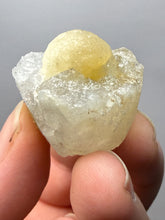 Load image into Gallery viewer, Rare Botryoidal Yellow Fluorite on Quartz Matrix Collector Mineral Specimen – Maharashtra, India