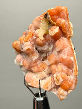 Load image into Gallery viewer, “Goblin Chalcedony” Pink & Orange Druzy Botryoidal Stalactites— Tichka Massif, High Atlas, Morocco