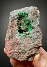 Load image into Gallery viewer, Brochantite Collector Mineral Specimen – Vivid Green Copper Crystals from Morocco
