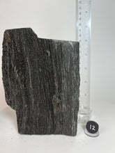 Load image into Gallery viewer, Black Druzy Petrified Wood from Indonesia