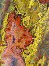 Load image into Gallery viewer, Pink Yellow Red Moroccan Agate | High Atlas Mountains •UNPOLISHED LAPIDARY SLAB