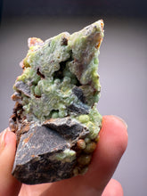 Load image into Gallery viewer, High-Grade Green Wavellite Collectors Specimen - Radiating Botryoidal Crystal Formation - Arkansas, USA