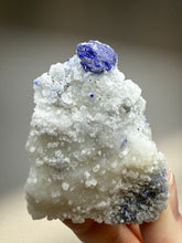 Load image into Gallery viewer, Afghan Lazurite Specimen | Deep Blue Lapis-Grade Crystal on Matrix | Collector Display Mineral