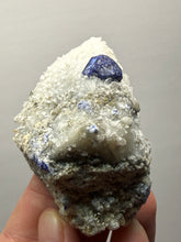 Load image into Gallery viewer, Afghanite & Lazurite on Matrix Collector Display Specimen | Badakhshan Region, Afghanistan