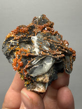 Load image into Gallery viewer, Natural Vanadinite on Matrix | Collector Mineral Specimen | Morocco