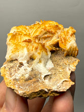 Load image into Gallery viewer, Natural Vanadinite on Matrix | Collector Mineral Specimen | Morocco