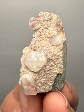 Load image into Gallery viewer, Pink Apophyllite on Red & Green Heulandite – Deccan Traps, Maharashtra, India