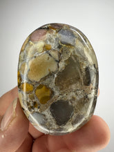 Load image into Gallery viewer, Cobra Jasper Palm Stone from India • High Grade