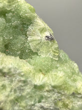 Load image into Gallery viewer, High-Grade Green Wavellite Collectors Specimen - Radiating Botryoidal Crystal Formation - Arkansas, USA
