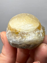 Load image into Gallery viewer, Rare Botryoidal Yellow Fluorite on Quartz Matrix Collector Mineral Specimen – Maharashtra, India