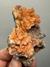 Load image into Gallery viewer, Chalcedony Quartz Rose Agate Collector Mineral Specimen – Morocco