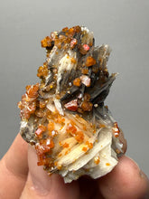 Load image into Gallery viewer, Natural Vanadinite on Matrix | Collector Mineral Specimen | Morocco