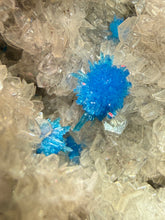 Load image into Gallery viewer, Rare Electric Blue Pentagonite & Cavansite on Druzy Matrix | Collector Mineral Specimen | Wagholi Quarry, India