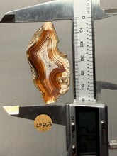 Load image into Gallery viewer, Premium Sumatra Agate (Banded Chalcedony) Display Specimen | Indonesia