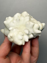 Load image into Gallery viewer, Superb White Flos Ferri Aragonite “Flower of Iron” Mineral Specimen | Lom Vitošov, Czech Republic