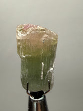 Load image into Gallery viewer, Raw Bi-Color Tourmaline Crystal Specimen | Ocean View Mine, Pala, California, USA