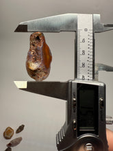 Load image into Gallery viewer, Lot of 9 Small Malawi Agate Halves – Polished Rare Colorful Collector Specimens