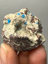 Load image into Gallery viewer, Rare Electric Blue Pentagonite on Druzy Matrix – Collector Mineral Specimen | India