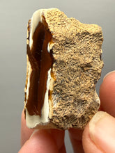 Load image into Gallery viewer, Premium Sumatra Agate (Banded Chalcedony) Display Specimen | Indonesia