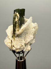 Load image into Gallery viewer, Green Cap Stak Nala Tourmaline with Cleavelandite – Haramosh Mountains, Pakistan | Thumbnail Specimen