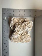 Load image into Gallery viewer, Desert Rose Selenite (Gypsum) — Mineral Display Specimen | Mexico