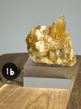 Load image into Gallery viewer, Glowing Flame Calcite Cluster from Maharashtra • High Grade