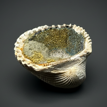 Load image into Gallery viewer, Bivalve (Pelecypoda) Fossil Sea Shell with Chalcopyrite | Mineralized Fossil Specimen | Indonesia
