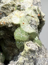 Load image into Gallery viewer, High-Grade Green Wavellite Collectors Specimen - Radiating Botryoidal Crystal Formation - Arkansas, USA