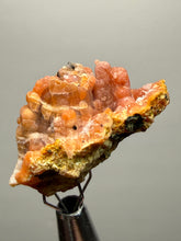 Load image into Gallery viewer, “Goblin Chalcedony” Pink & Orange Druzy Botryoidal Stalactites— Tichka Massif, High Atlas, Morocco