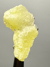 Load image into Gallery viewer, Vibrant Yellow Brucite Thumbnail Mineral Specimen | Collector Crystal from Killa Saifullah District in Balochistan Province, Pakistan