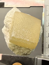 Load image into Gallery viewer, Rare Druzy Golden “Diamond” Calcite on Zeolite Matrix — Maharashtra, India | Collector Cabinet Specimen