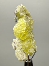 Load image into Gallery viewer, Vibrant Yellow Brucite Thumbnail Mineral Specimen | Collector Crystal from Killa Saifullah District in Balochistan Province, Pakistan