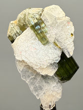 Load image into Gallery viewer, Deep Green Stak Nala Tourmaline with Cleavelandite – Haramosh Mountains, Pakistan | Thumbnail Specimen