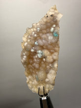 Load image into Gallery viewer, Blue-Green Chrysocolla in Botryoidal Chalcedony Cabinet Specimen | Indonesia