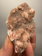 Load image into Gallery viewer, Rare Druzy Pink & Red Apophyllite Crystal Cluster – High Grade Collector Mineral Specimen | India