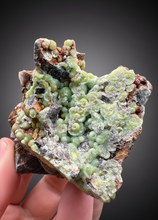 Load image into Gallery viewer, High-Grade Green Wavellite Collectors Specimen - Radiating Botryoidal Crystal Formation - Arkansas, USA