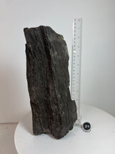 Load image into Gallery viewer, Black Druzy Petrified Wood from Indonesia