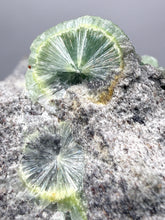 Load image into Gallery viewer, High-Grade Green Wavellite Collectors Specimen - Radiating Botryoidal Crystal Formation - Arkansas, USA