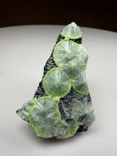 Load image into Gallery viewer, Green Wavellite Cluster Mineral Specimen • Arkansas, USA