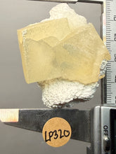 Load image into Gallery viewer, Rare Druzy Golden “Diamond” Calcite on Zeolite Matrix — Maharashtra, India | Collector Cabinet Specimen