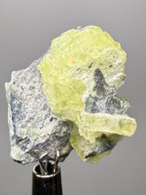 Load image into Gallery viewer, Vibrant Yellow Brucite Thumbnail Mineral Specimen | Collector Crystal from Killa Saifullah District in Balochistan Province, Pakistan